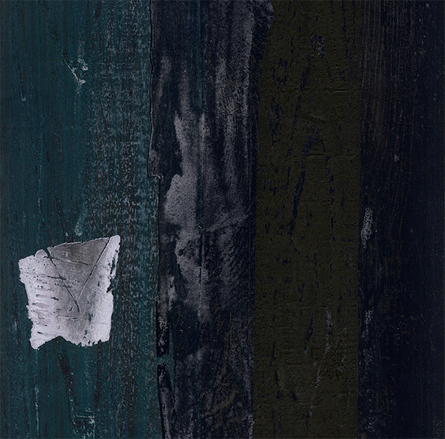 White Moth